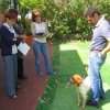 9th-national-breed-show0008