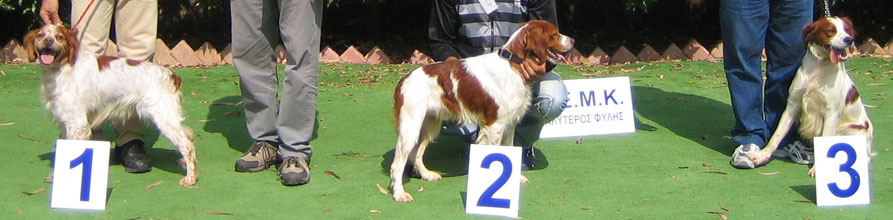 An Image Slideshow