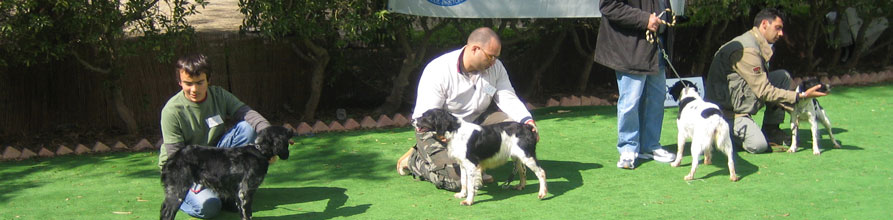 An Image Slideshow