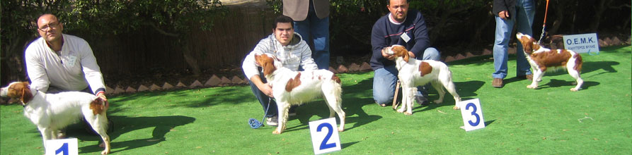 An Image Slideshow