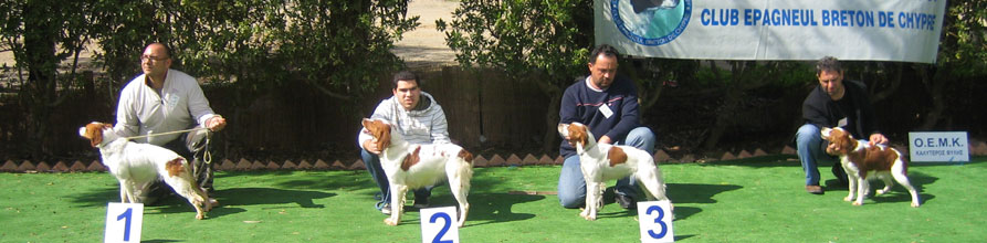 An Image Slideshow