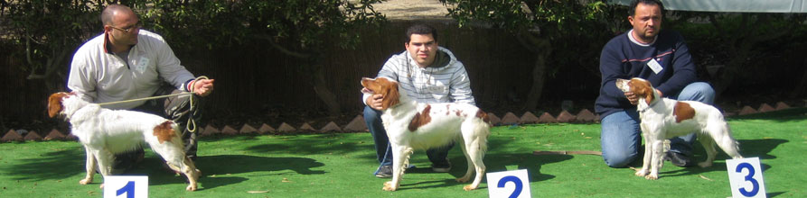 An Image Slideshow
