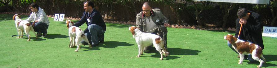 An Image Slideshow
