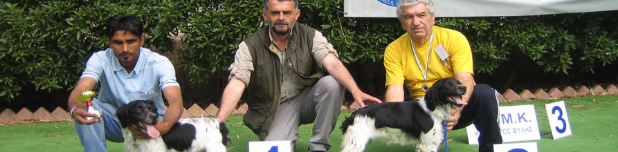 An Image Slideshow
