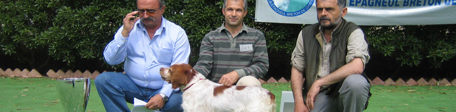 An Image Slideshow