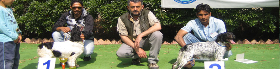 An Image Slideshow