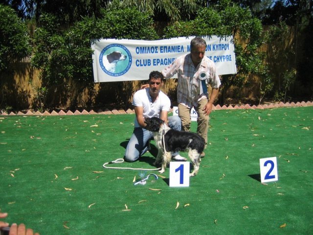 10thnationalshow00052