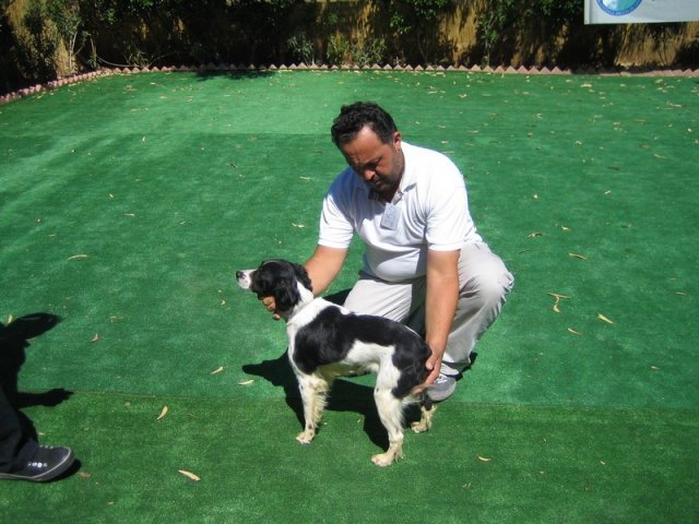 10thnationalshow00053