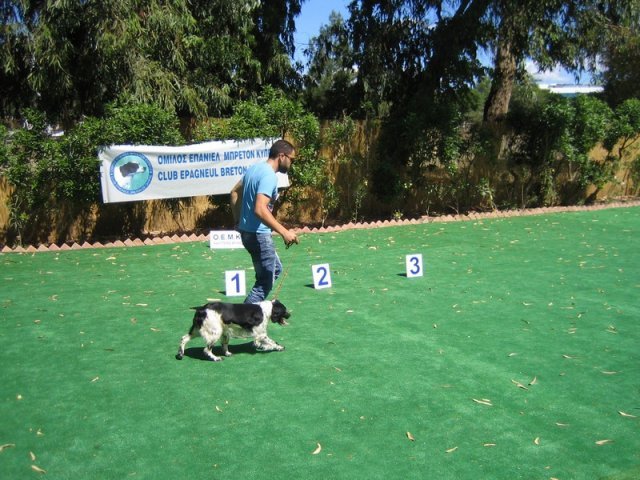 10thnationalshow00055