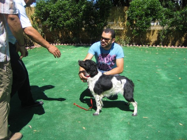 10thnationalshow00058