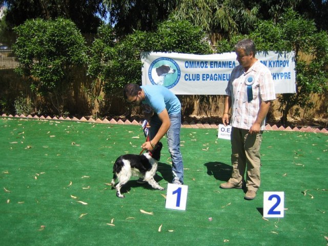 10thnationalshow00059