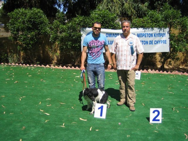 10thnationalshow00060
