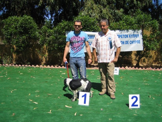 10thnationalshow00061