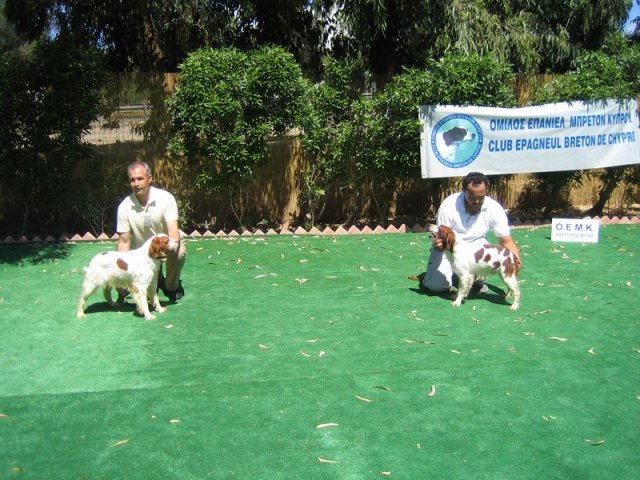 10thnationalshow00062