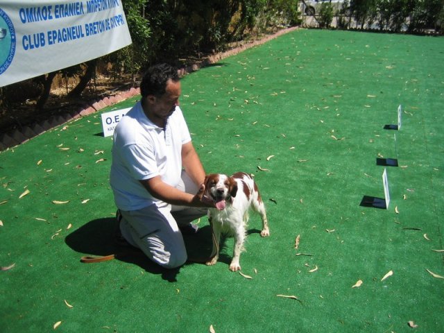 10thnationalshow00066