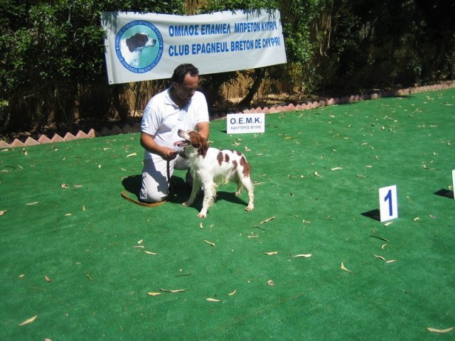 10thnationalshow00068
