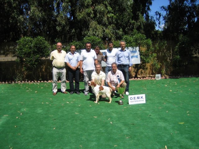 10thnationalshow00070