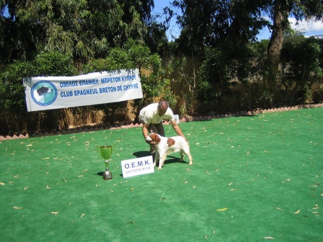 10thnationalshow00073