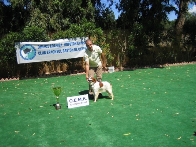 10thnationalshow00074