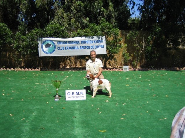 10thnationalshow00075