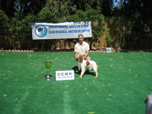 10thnationalshow00076