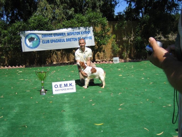 10thnationalshow00077