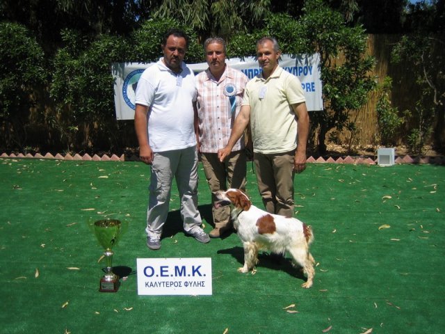 10thnationalshow00078