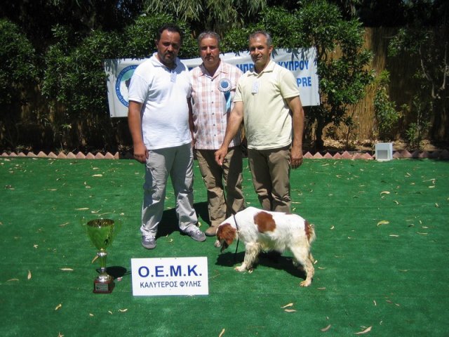 10thnationalshow00079