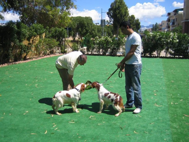 10thnationalshow00080