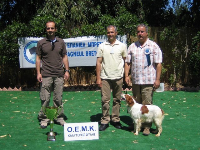 10thnationalshow00083