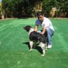 10thnationalshow00047