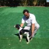 10thnationalshow00053
