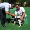 10thnationalshow00054