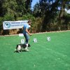 10thnationalshow00055