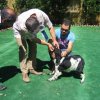 10thnationalshow00057