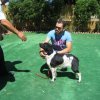 10thnationalshow00058