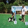10thnationalshow00059