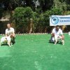 10thnationalshow00062