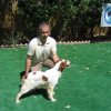 10thnationalshow00065