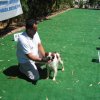 10thnationalshow00066