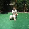 10thnationalshow00067