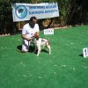 10thnationalshow00068