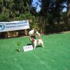 10thnationalshow00073