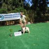 10thnationalshow00074