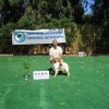 10thnationalshow00075