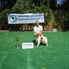 10thnationalshow00076