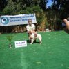 10thnationalshow00077