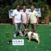10thnationalshow00078