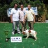 10thnationalshow00079