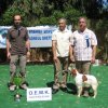 10thnationalshow00082